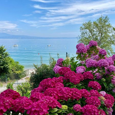 Front Lake Amazing View Manerba del Garda Kültér fotó