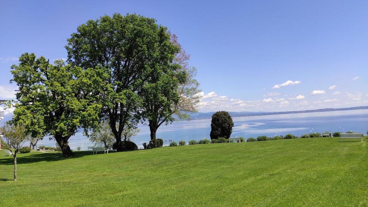 Front Lake Amazing View Manerba del Garda Kültér fotó