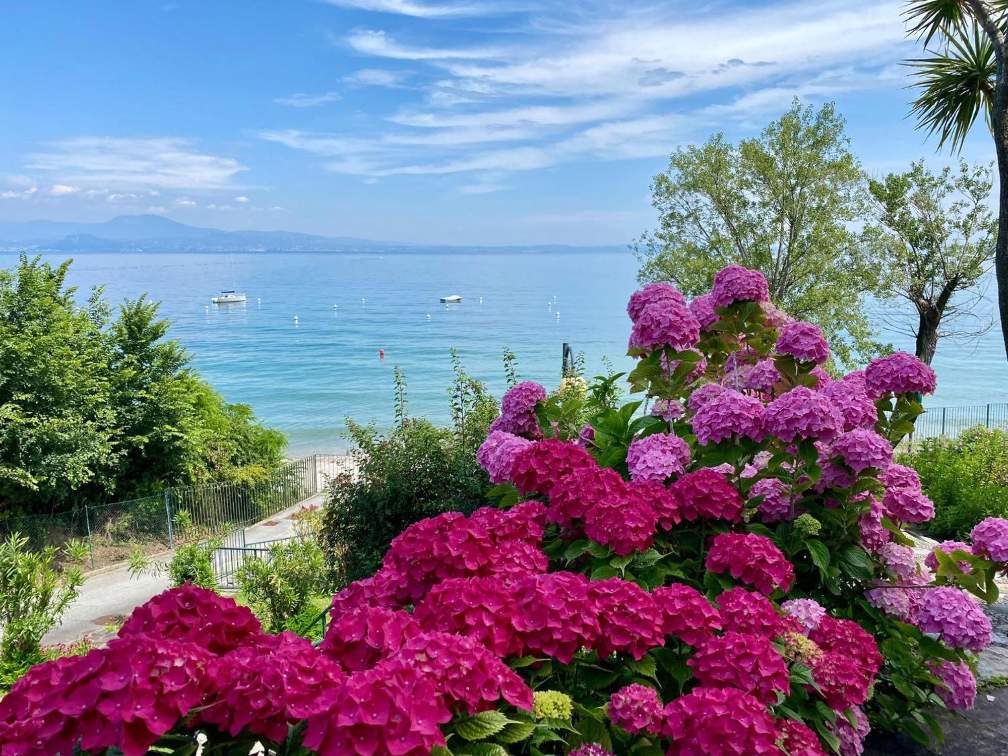 Front Lake Amazing View Manerba del Garda Kültér fotó
